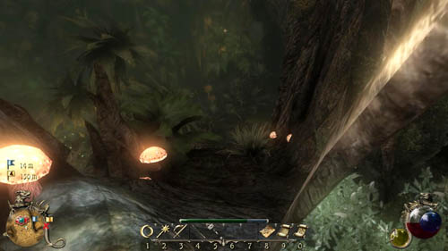 Finish the quest [12-M] Teal's Ikayorte - [14-M] Spirits of Nature - Walkthrough - Two Worlds II: Pirates of The Flying Fortress - Game Guide and Walkthrough