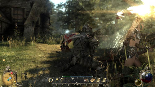 Next, begin clearing the cottages from goods and Hamadryads - in each hut there are two opponents and two chests, and each lock has to be either picked or destroyed - [17-S] Pirates Don't Cry - Walkthrough - Two Worlds II: Pirates of The Flying Fortress - Game Guide and Walkthrough