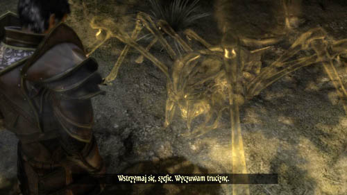 Your task is to reach [7] - [46-M] Subconsciousness: Worldviews in Conflict - Walkthrough - Two Worlds II: Pirates of The Flying Fortress - Game Guide and Walkthrough