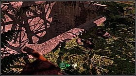 Nathan went back into the jungle - Uncharted 1: Race to the Rescue - Chapter 20 walkthrough - Walkthrough - Uncharted Drakes Fortune Guide