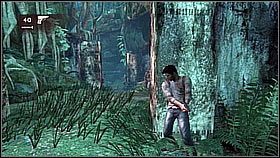 Then the hero walked over a fallen trunk - he had to maintain balance in order not to fall down (move and rotate your controller) - Uncharted 1: Plane-wrecked part 1 - Chapter 4 walkthrough - Walkthrough - Uncharted Drakes Fortune Guide