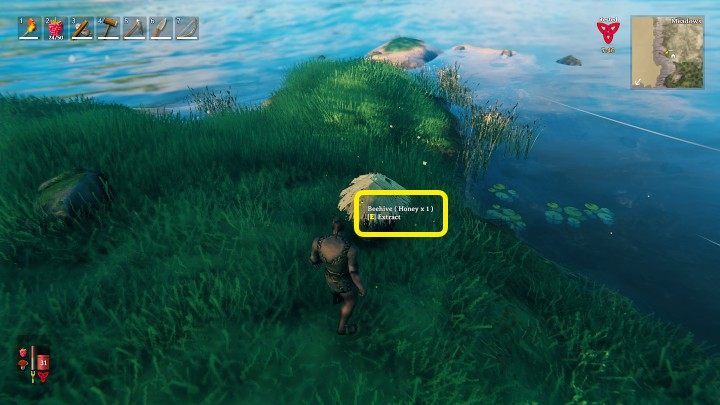 The production of honey in Valheim is automatic - you just need to build a hive and then check it from time to time - Valheim: Honey - how to produce it? - Raw materials - Valheim Guide