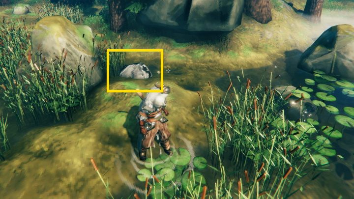 Tin deposits can be found in the Black Forest - Valheim: Tin - where to find it? - Raw materials - Valheim Guide