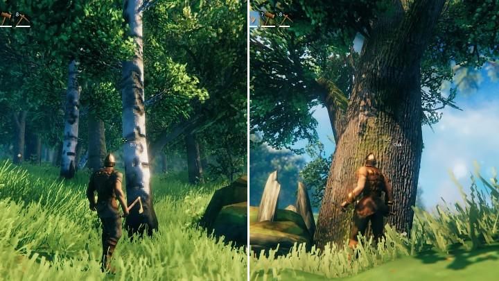 Fine wood is mainly obtained by chopping birch and oak trees, which can be found in the Meadows biome - Valheim: Fine wood - where to find it? - Raw materials - Valheim Guide