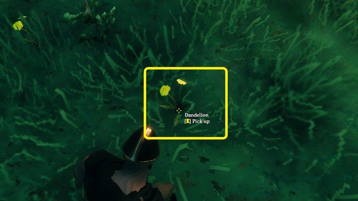 Dandelion has distinctive yellow flowers, grows in random locations and can be found in the Meadows biome - Valheim: Dandelion - where to find, what to use it for? - Exploration and survival - Valheim Guide