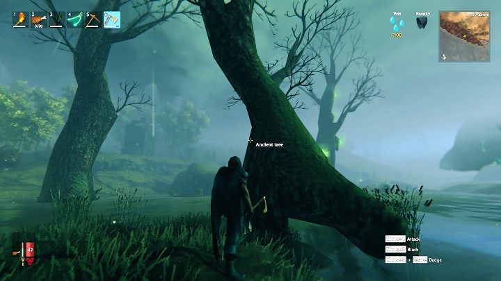 The Ancient bark is obtained after cutting down the Ancient trees which can be found in the Swamps - Valheim: How to get the Ancient bark? - Raw materials - Valheim Guide