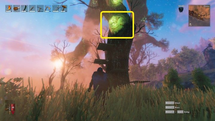 Gucksacks may grow in higher parts of trees, which makes them difficult to access - Valheim: How to obtain Guck? - Raw materials - Valheim Guide