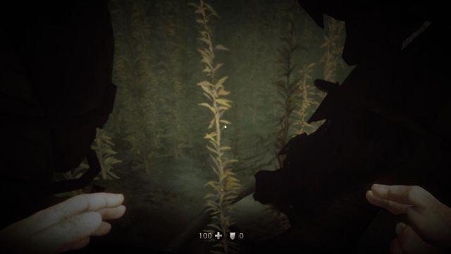 When you are in the water, follow the cables - Deathsheads Compound - Main missions - Wolfenstein: The New Order (coming soon) - Game Guide and Walkthrough