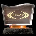 Trophy type: bronze - Yakuza 6 Trophy Guide - Basics - Yakuza 6 Game Guide