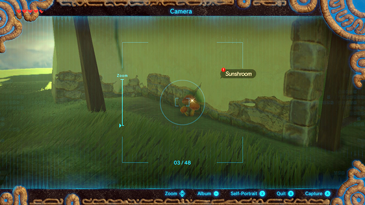 Photograph the sunshroom - Hateno Tower Region in Zelda Breath of the Wild - Side quests - The Legend of Zelda Breath of the Wild Guide