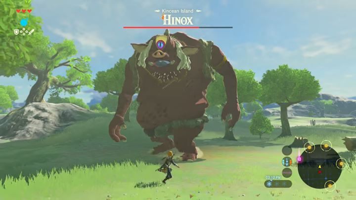 Hinox may be encountered in various options: Hinox, Blue Hinox, Black Hinox, Stalnox - Minor bosses in Zelda Breath of the Wild - Bossfights - The Legend of Zelda Breath of the Wild Guide