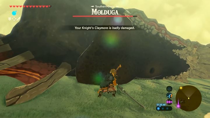 Theres only one option of this type of enemy - Minor bosses in Zelda Breath of the Wild - Bossfights - The Legend of Zelda Breath of the Wild Guide